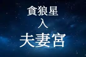 夫妻宮 貪狼|貪狼星入夫妻宮